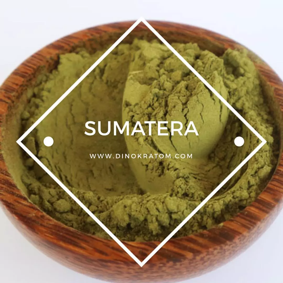 Dino Kratom product